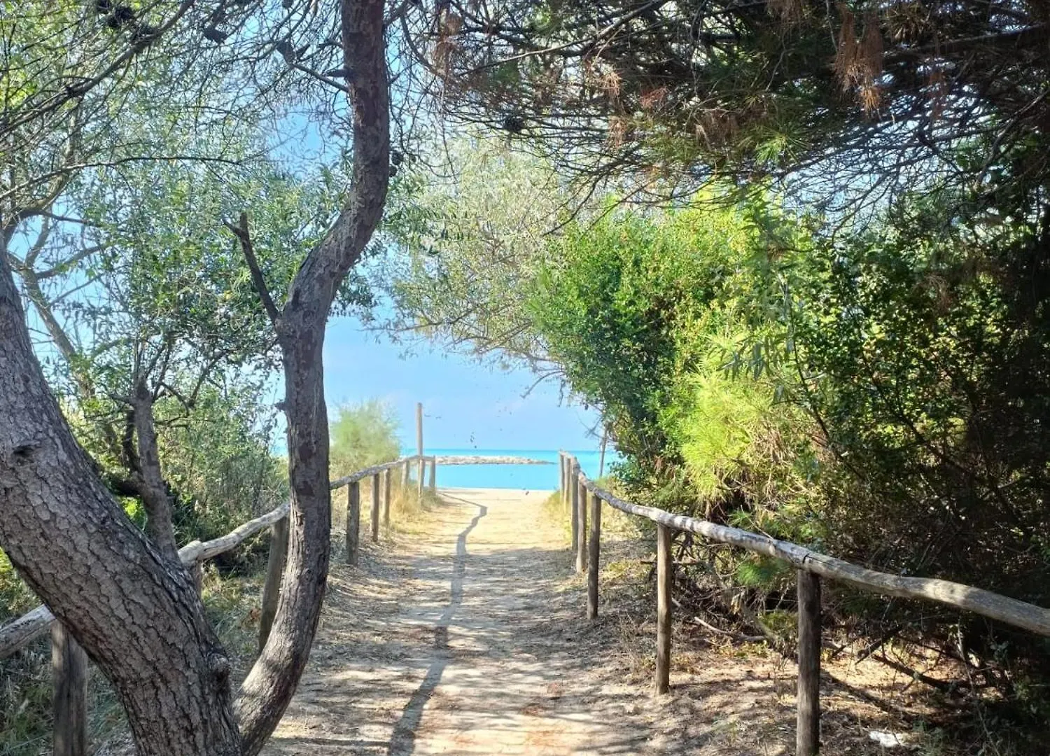 Appartamento Vada